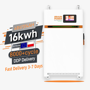 <b>48V</b> 200Ah Hybrid Grid Solar <b>Battery</b> Energy Storage System 10kWh Home Wall-Mounted EU Stock with BMS - Product Image 2