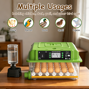 <span class=keywords><strong>Vente</strong></span> flash : Équipement d'incubation d'œufs entièrement automatique à taux d'éclosion élevé, incubateur d'œufs adapté aux poulets - Product Image 3