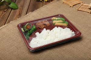 Nhựa Lấy Ra Dùng Một Lần Plastik Bento Box PS/PP Lò Vi Sóng Ăn Trưa Container Thực Phẩm - Product Image 6
