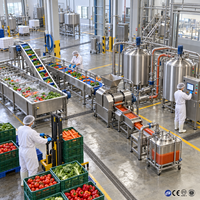 Automatische fruit- en groentesap puree verwerkingslijn voor mango, appel en ananas