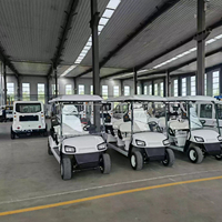 Nouvelle Voiturette de Golf Électrique 1 ou 2 Places Personnalisable, Voiturette de Golf Chinoise à Vendre, Buggy de Golf pour Visites Touristiques