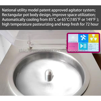 Machine de pasteurisation automatique de jus et d'œufs en acier inoxydable 32L, pasteurisateur commercial pour lait et yaourt