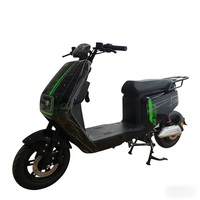 Trottinette électrique à deux roues avec moteur sans balais 600W, batterie au lithium, capacité de charge de 200 kg, éclairage LED, contrôle numérique, étanche