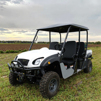 Lvcci Meilleur côte à côte 4 places Dune Buggy essence électrique Transmission automatique Type certifié CEE
