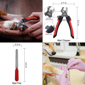 Kit Professionale 9-in-1 per la Toelettatura Completa di Cani e Gatti con Spazzola, Tagliaunghie e Set per Animali a Pelo Lungo - Product Image 5