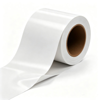 Material de Impresión de Gran Formato, Vinilo de PVC Imprimible Removible Sin Residuos para Letreros Interiores y Exteriores