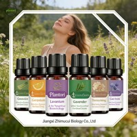 Diffuseur d'huiles sans eau en gros – Huiles essentielles 100 % pures et naturelles pour le raffermissement : Lavande, Menthe poivrée, Géranium, Citron vert, Rose, Bergamote