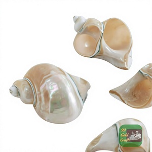 Anillo para Servilletas de Concha Marina Natural Hecho a Mano en Vietnam, de Alta Calidad y Ecológico, para Decoración de Mesa de Fiesta, a Partir de 99 GD - Product Image 1