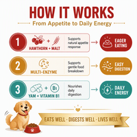 Complément enzymatique digestif pour chiens – Soutien de l'appétit – Friandises à mâcher saveur viande – Hawthorne et malt – Haute palatabilité – Marque privée