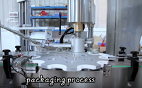 Machine de capsulage électrique automatique Sanpong pour contenants en verre, métal et plastique, facile à utiliser