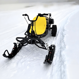 Kart à chenilles <span class=keywords><strong>pour</strong></span> neige et glace, châssis tubulaire en acier, <span class=keywords><strong>pour</strong></span> zones scéniques et sites de divertissement tout-terrain, type motoneige - Product Image 4