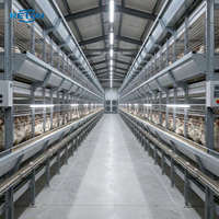 Nouvelle cage à poules de type H, 3-4 niveaux, automatique, galvanisée à chaud, en acier Q235, avec système de collecte des œufs et d'évacuation du fumier, équipement avicole
