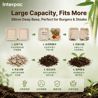 Boîte à emporter Interpac en bagasse 8x8 pouces, 1 compartiment, écologique, en fibre de canne à sucre, pour emballage de salades et de plats rapides