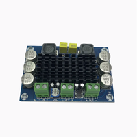 Carte amplificateur numérique mono XH-M542 100W TPA3116 12-26V carte amplificateur Audio numérique XH-M542