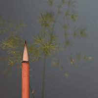 Pennello per Calligrafia in Pelo di Capra con Confezione di Lusso Personalizzata, Pennello per Scrittura Corsiva