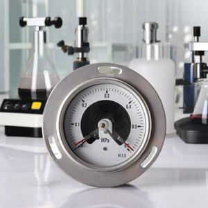 Manômetro de Pressão Elétrico SUS Tipo Retrô Manômetros de Vácuo - Product Image 5