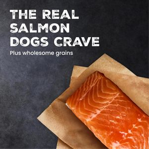 Cibo Secco per Cani Adulti Blue Buffalo Wilderness al <span class=keywords><strong>Salmone</strong></span> e Cereali Naturali - Product Image 4