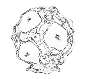 ชุดตัวต่อพลา<span class=keywords><strong>ส</strong></span>ติก KDZ43019 รูปทรง<span class=keywords><strong>ลูก</strong></span>ฟุตบอลแบบเปิดได้ ประกอบเองได้ <span class=keywords><strong>ส</strong></span>ำหรับเป็นของขวัญ<span class=keywords><strong>ส</strong></span>ร้าง<span class=keywords><strong>ส</strong></span>รรค์และของ<span class=keywords><strong>ส</strong></span>ะสมสำหรับตั้งโชว์ - Product Image 2