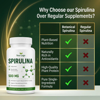 Comprimés de Spiruline et Chlorelle en Gros, Marque Privée OEM, Superaliment Végétalien, Sans OGM, Sans Gluten, Spiruline Biologique, Fabricants