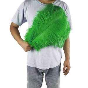 Plumas Grandes de Avestruz de Alta Calidad de 45 cm a 50 cm de Longitud, Plumas Teñidas de Colores para Vestuario de Escenario, Decoraciones de Boda y Proyectos de Manualidades - Product Image 4