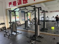 Appareil de musculation multifonctionnel à câbles croisés économique, capacité de charge 100 kg, empilement de poids réglable, en acier, pour salle de sport à domicile