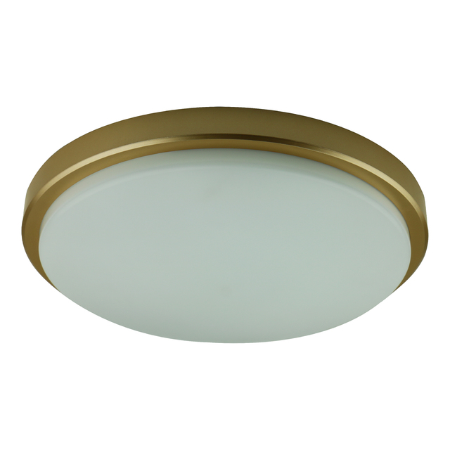 18W 36W IP65 Waterproof Led Lighting for Living Room Bedroom Bathroom LED Ceiling Lights Led Ceiling  Lamp