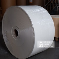 250gsm 300gsm 330gsm Factory Price Paper Roll Cups Bowls Raw Material Paperboard