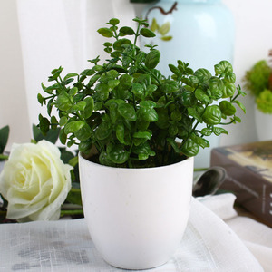 Di alta qualità artificiale arte topiaria bonsai bosso plastica <span class=keywords><strong>cipresso</strong></span> in vaso bonsai pianta con il <span class=keywords><strong>prezzo</strong></span> poco costoso - Product Image 6