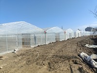 Film plastique transparent en PE résistant aux UV pour serre agricole à simple travée, tunnel en acier épaissi, installation facile