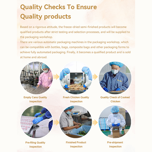 Proveedor de alimentos para gatos de Protección Ambiental de alta proteína, fábrica de alimentos para mascotas OEM de China - Product Image 5