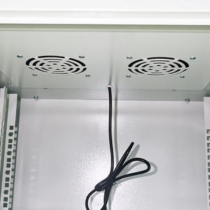 Gabinete para Servidor, Gabinete de Red para Exteriores Pequeño, Tamaño Personalizado 22U, Capacidad de 600 mm - Product Image 4