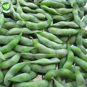 IQF Frozen Organic Green Podded Edamame Shelled Bean Soybean In Pod With Competitive Price For Wholesale Factory Bulk