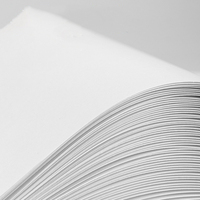 Papel A4 Económico, Papel para Copiar A4, 80 g/m², 75 g/m², 70 g/m² para Impresión Láser