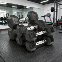 Haltères hexagonaux de 2,5 à 50 kg, vente directe d'usine Nantong, ensemble d'haltères avec logo personnalisable, haltères de gym