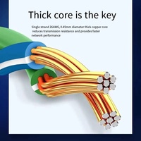 Fournisseur UTP FTP SFTP LAN Réseau Ethernet D-Link Cat6a Cat6e Cat 6 Cordon de brassage RJ45 Cat6 Câble