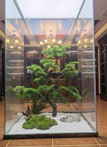 <span class=keywords><strong>Vendita</strong></span> Diretta dalla Fabbrica Piante Vive <span class=keywords><strong>Bonsai</strong></span> <span class=keywords><strong>da</strong></span> <span class=keywords><strong>Interno</strong></span> Alberi di Pino Artificiali per Decorazione Domestica - Product Image 4
