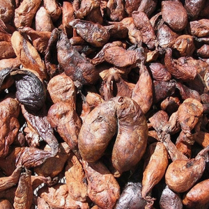Pure Natural Castoreum Resinoid | Perfume & Fragrance Raw Material, Cosmetic, Flavor Industry Ingredient | Bulk Supply Available - Product Image 2