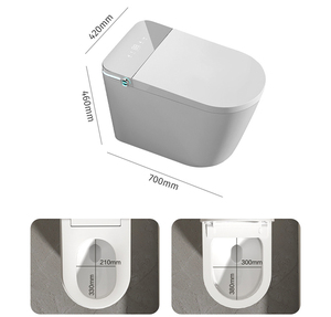 Умный туалет с цифровым дисплеем - Product Image 6