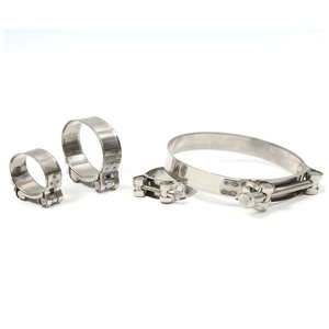 Populaire et Professionnel Galvanisé SS <span class=keywords><strong>Robuste</strong></span> <span class=keywords><strong>collier</strong></span> <span class=keywords><strong>de</strong></span> <span class=keywords><strong>Serrage</strong></span> <span class=keywords><strong>De</strong></span> Boulon en T - Product Image 3