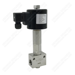-Válvula solenoide criogénica de temperatura muy baja de 196 grados para nitrógeno líquido LN2 oxígeno líquido O2 dióxido de carbono líquido LCO2 - Product Image 1