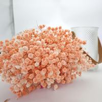 500g Bunga Kering Alami Gypsophila Preserved Babys Breath Grosir Buket Satu Paket Kustom untuk Dekorasi Karangan Bunga Kantor dan Pesta