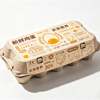 Nouvel Emballage Alimentaire Industriel Écologique Pliable pour Œufs avec Impression Jet d'Encre UV, Étiquetage de Sécurité et Artwork Personnalisé pour Ferme Biologique