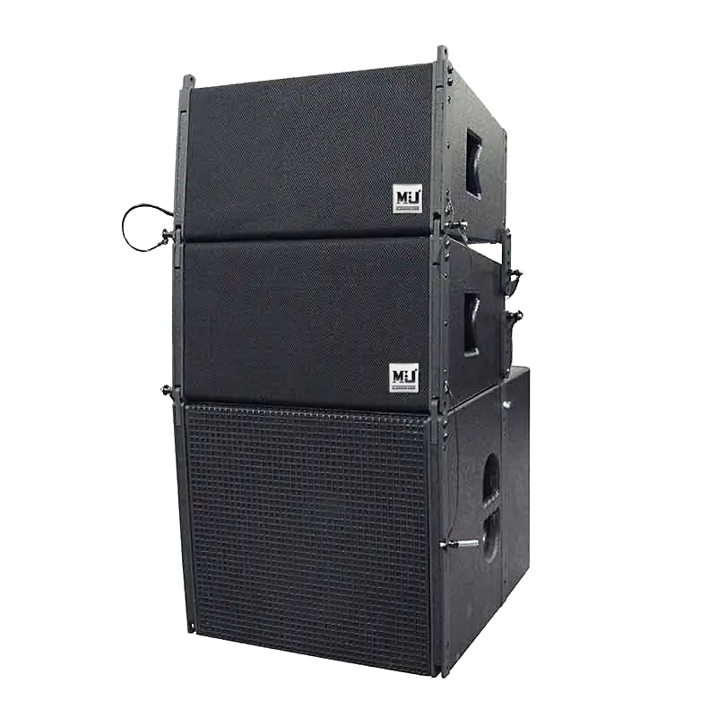 Boîte de haut-parleur TW10 line array 10 pouces pour porte extérieure dj line array accessoires