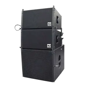 TW10 line array speaker box 10 inch for out door dj line array accessoires