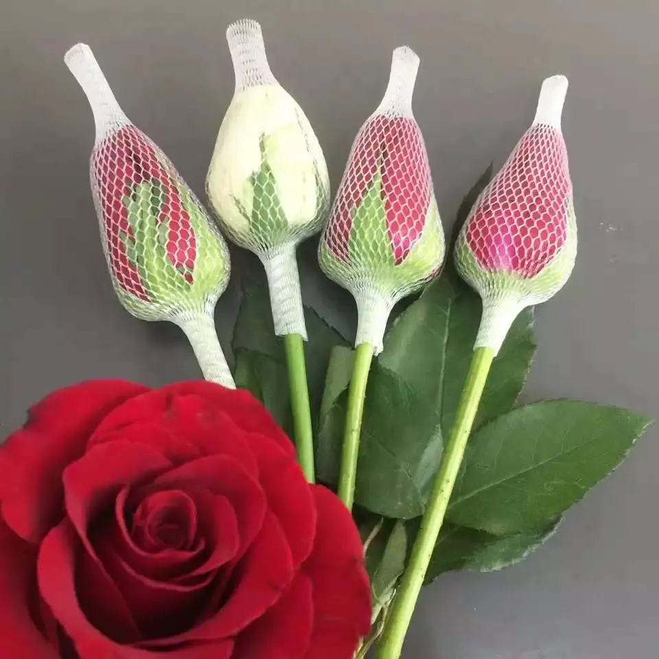 Nhà Sản Xuất Bán Hàng Trực Tiếp Nhựa Bền Lưới Rose Bud Bảo Vệ Tay Áo Net Chất Lượng Cao Bán Buôn Rose Flower Bọc Net