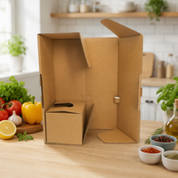 Boîtes en carton ondulé personnalisées pour plantes et fleurs, avec insert, pour expédition de plantes vivantes en pot