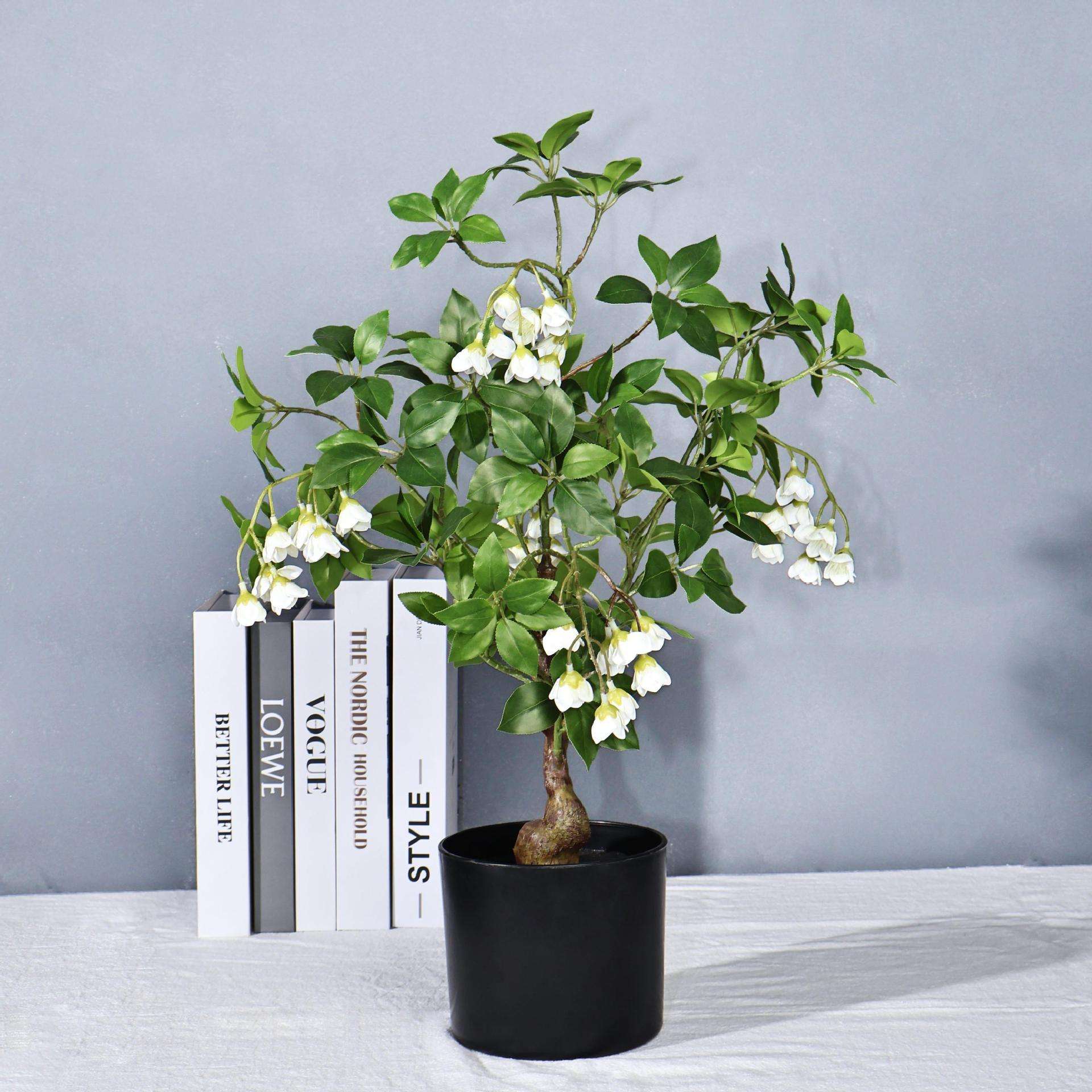 ต้นไม้ระฆังแขวน