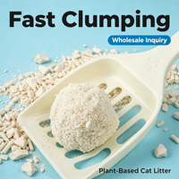 Litière pour chat en manioc à marque privée OEM, agglomération rapide, faible poussière, hautement absorbante, contrôle des odeurs, à base de plantes, biodégradable