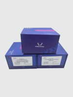 Kit humain de GLP1 (glucagon comme le peptide 1) ELISA