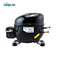 Compresor de Refrigerador y Congelador de Acero Inoxidable de Tamaño Pequeño R134A de 1/3HP, 1/4HP, 1/5HP, 1/6HP
